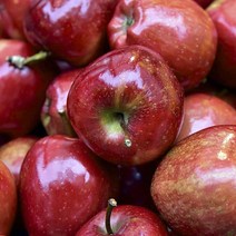 못난이사과 꿀 부사 흠집 가정용 경북 안동 사과 3kg 5kg 10kg, 1개