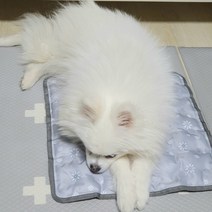꼼띠아 국산 눈꽃 다이아 아이스 쿨링 쿨젤 쿨매트 쿨부인 쿨방석 쿨베개 쿨쿠션 여름 시트 강아지 쿨매트 애견, 꼼띠아 눈꽃 다이아 강아지 쿨매트  40*40