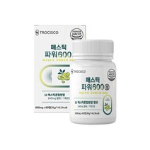 덱스트린 위에좋은영양제 프락토올리고당 포도당 매스틱600 600mg 60정, 매스틱600 60정 (1통)