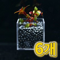미미네아쿠아 어항수초 컨테이너 루드위지아 슈퍼레드 세트 6개, 단품없음