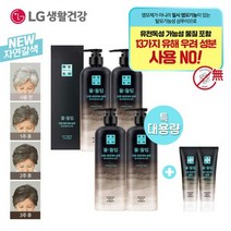 자연갈색/흑갈색LG 리엔 물들임 대용량 샴푸 550ml4개+중용량, 흑갈색