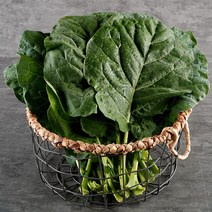 유기농 케일 녹즙용 4kg, 없음