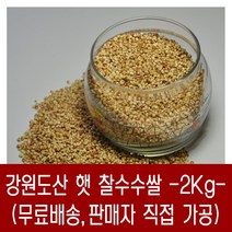 [다온농산] 2022년산 강원도산 햇 찰수수쌀 -2Kg- 판매자 직접 도정 판매