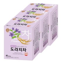 국내산 100% 도라지차 목 감기 기관지 기침 가래에 좋은차, 0.8g, 120개