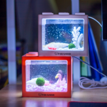 LED 블럭수조 마리모 키우기 DIY 키트, 1. 모던 산호 수족관, 마리모 (L), 자갈 200g