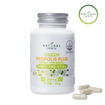 [내추럴이믹스] 그린 프로폴리스 500mg 90캡슐 면역력 황산화 영양제 브라질, 90정, 1개