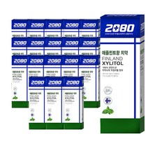 2080 자일리톨 애플민트향 치약 110g, 100g, 19개