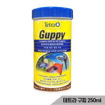 [올블루] 테트라구피 250ml/구피전용사료 면연력증가 발생증가, 상세 설명 참조, 상세 설명 참조, 상세 설명 참조