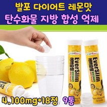 먹으면서 살빼는 다이어트보조제 가르시니아 캄보지아 추출물 복부지방 체지방 감소 발포타임 HCA 남자 여자 중년 출산후 30대 40대 50대