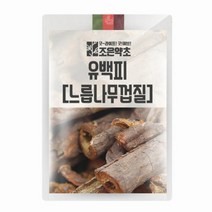 유백피(느릅나무껍질) 200g, 단품