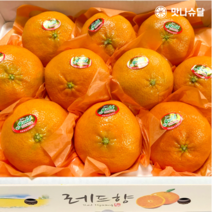 [00호텔납품] 제주 레드향 선물세트 로얄과 제주도 래드향 선물용 3kg 5kg, 선물용 레드향 3kg 로얄과 (12과수 내외)
