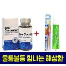 해삼환 생 건조 말린 내장 분말 가루 환 정 바다의 산삼 인삼 사포닌 콘드로이친 강장제 비타민 마그네슘 칼슘 철분 에너지 활력 지구력 효능 청소년 중년 남성 갱년기 여성 약국 추천