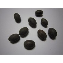 연꽃씨앗100g(100립)