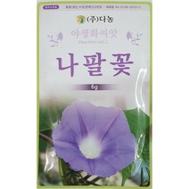 나파꽃 야생화씨앗/4월초파종/다농/가람종묘사