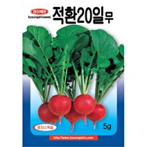 적환20일무 코메트 레디쉬 씨 씨앗 종자, 모듬상추, 1개