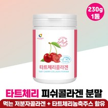 콜라겐 다트체리 농축분말 선생님 교수님 선물 추천 저분자피쉬콜라겐 파우더 중년 여성 40대 남성 대용량 피쉬콜라겐 하루 한끼 식사대용 어르신 부모님 노인 피시콜라겐 프리미엄, 타트체리콜라겐 1통