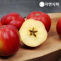 [신품종]가을스타 고당도 영주 별사과 1.2kg, 별사과 1.2kg 중소과(22과내외)