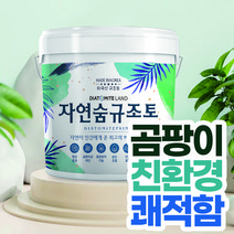 결로방지페인트 자연숨 규조토페인트 18kg 곰팡이방지 벽지 항균 베란다 실내 단열페인트, 07.스킨A(하단 색상표참조), 시공도구 선택안함, 1개