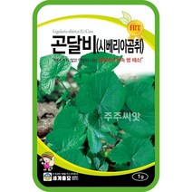 곤달비 1g 씨앗 종자 시베리아곰취 토속쌈채소 쌈용 토속채소 국화과 다년생, 단품
