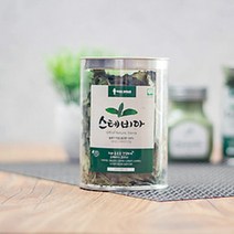 박병호농장 국내산 무농약 스테비아 건잎 5g, 10g, 1개