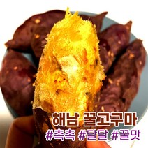 해남 2022년 햇 꿀고구마 베니하루카 맛있는 달콤한 꿀고구마 세척, 중상 3kg