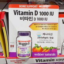 WEBBER NATURALS 비타민D 1000 IU 205mg x 250 캡슐 코스트코