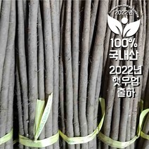 <컴팜> 2021년 첫 햇우엉, 8kg, 대상(차용)