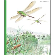 세밀화로 보는 왕잠자리 한살이, 길벗어린이, 권혁도 세밀화 그림책