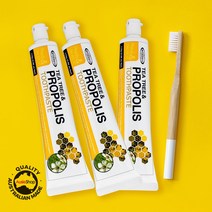 마더네스트 프로폴리스 치약 110g 3개