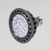 천지몰 PAR30 LED 15W 전구색 스포트 블랙 KS, 1개, 상품명참조