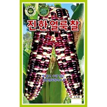 진한얼룩찰옥수수 2500립/주말농장용채소/봄파종채소/옥수수/콩/곡류/씨앗