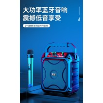 이동식 버스킹 앰프 마이크 포터블 장비 행사용, 6.5인치(리모콘) 무선 마이크 1개