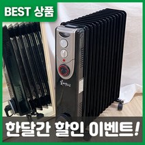 루다드림 라디에이터 가정용 전기 발열 사무실 욕실 방열기, 15핀