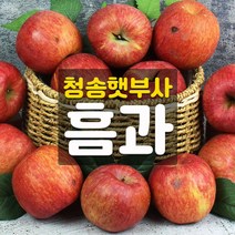 [흠과] 청송사과 햇부사 흠과 5kg/10kg [정품]과 맛과 신선함 동일, 선택01-[흠과]청송햇부사_5kg, 1개