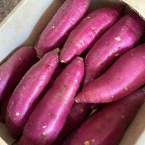 익산 꿀청고구마 ( 2kg / 3kg / 5kg / 10kg ) 산지직송 세척고구마 상중 긴중 베니하루카 삼기 황등 팔봉 금마 함라, 중량