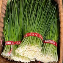 해돋이농산 깐쪽파 1단 2단 3단 5단 10단, 1단(1kg내외), 1개