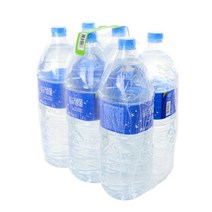 대구백화점 생수 숲속의맑은 샘물 2L X 6병(null), 6병