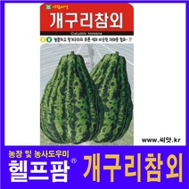 헬프팜 개구리참외 50립 참외씨 아람종묘 종자 씨앗