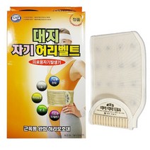 대지 자기허리벨트(소) -의료용 자기발생기, 소