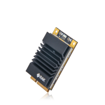RAK2287 | WisLink LPWAN 집중 장치 최신 Semtech SX1302 가있는 RAKwireless IoT 게이트웨이, 01 AS923_01 SPI Without GPS