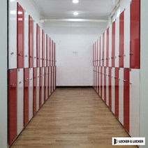 락카장 개인 락커 2단 학교 사무실옷장 개인 목재 2개단위 구매, 화이트 레드 바둑이+일반볼키