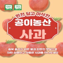 공이농산 꿀 사과 5kg 부사과 후브락스 충주사과 농장직배송 GAP인증 새콤달콤 사과 사과5kg 사과10kg 부사사과 충주사과 무농약 사과농장 부사사과 과일선물세