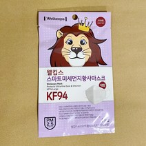 웰킵스 KF94 대형 마스크 성인용, 1개, 1개입