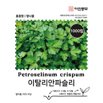 이태리파슬리씨앗 1000립 이탈리안파슬리 종자 씨 향채소 향나물, 1개