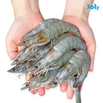 2023 국산 활 새우 1kg(37-43미) 흰다리 새우 제철, 1개
