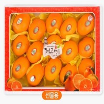 베리팜 제주 황금향 5kg 대과 15 20과 내외 선물포장