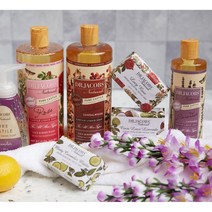 온가족 올인원 천연 바디클렌저 고농축 캐스틸솝 946ml, 시트러스퓨어 473ml, 473ml