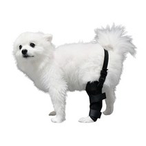 강아지 슬개골 보호대, 왼쪽_S
