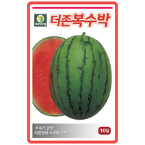 더존복수박씨앗 100립 채소종자 채소밭 텃밭작물 주말농장 수박씨