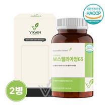 관절 연골 보스웰리아 분말 가루 정 알약 보스웰릭산 함량 65% 테르페노이드 무릎 관절 연골 뼈 효능 추천 먹는법, 2개, 120정